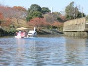 おたふうさんの新左近川親水公園の投稿写真1