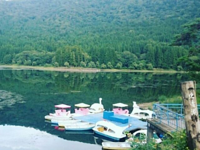 北竜湖_北竜湖のボート