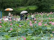 メイさんの浜津ケ池の投稿写真1