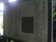 さとけんさんの浄見寺のオハツキイチョウの投稿写真2