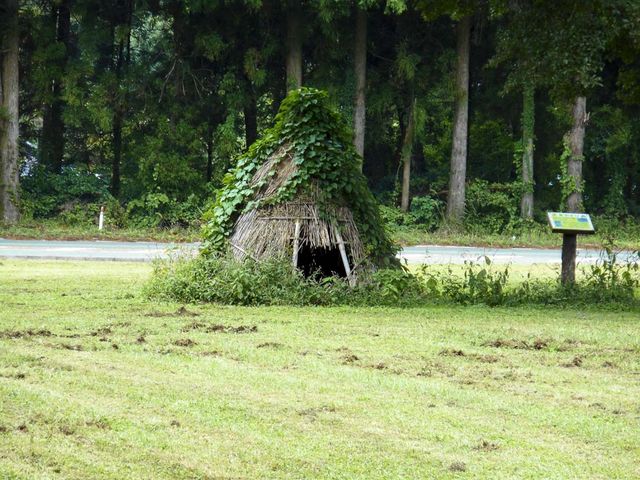 謎の庵_阿蘇野草園