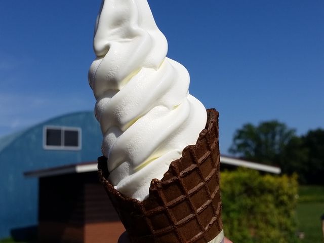 濃厚なソフトクリーム_八紘学園農産物直売所