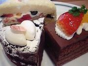 白梅さんのBaby’s breathの投稿写真2