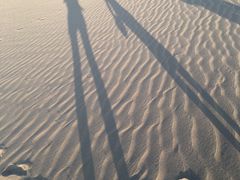 風紋・砂簾の写真1