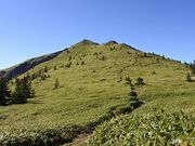 晴泰さんの根子岳の投稿写真1