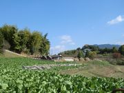 おたふうさんの鬼の爼・鬼の雪隠の投稿写真1