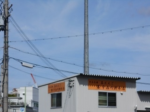 おいしい茶だんごがあります_宇治川餅 本店