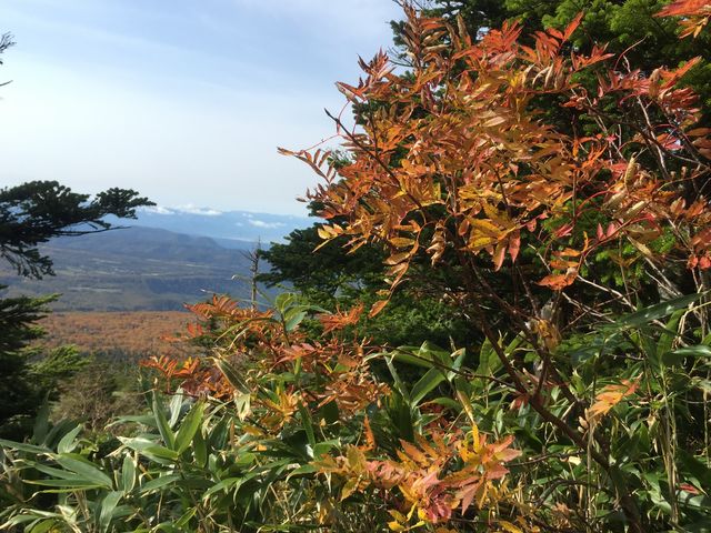 きれいな紅葉と景色をゆっくり楽しめました。_八甲田連峰の紅葉