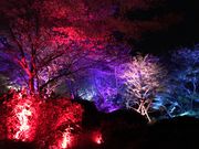 きぬきぬさんの御船山楽園の投稿写真1