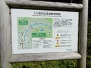 w-masaさんの上小池,刈込池自然研究路の投稿写真1