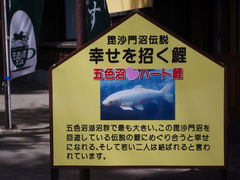 taroさんのへの投稿写真1