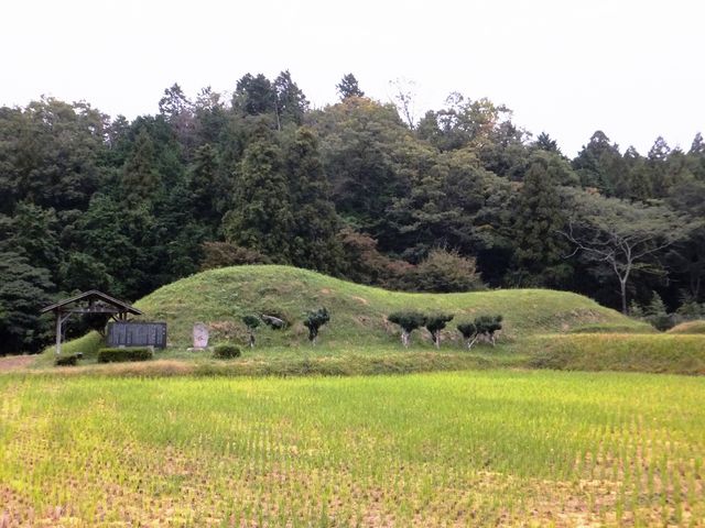 優美で女性的な外観ですね。_鳴塚古墳