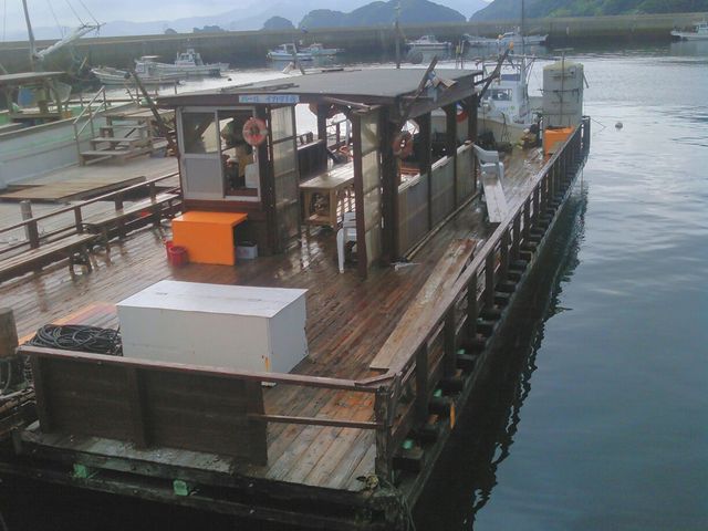 JOEさんの迎パールマリンの投稿写真1