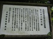 JOEさんの喜内瀬川甌穴群の投稿写真1