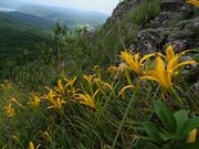 JOEさんの白岳高原の投稿写真1