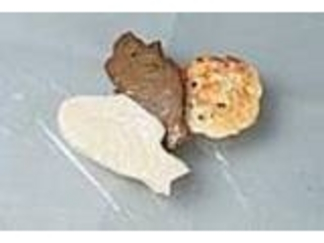 海の_大悦水産 まるいち