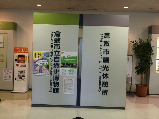 不思議な並び_倉敷市立自然史博物館