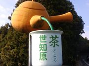 かなっちさんの国見山一帯の広葉樹の投稿写真1