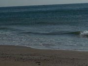 リュウさんの荒磯松園地の投稿写真1