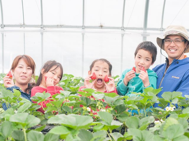 T-BERRY FARM ファミリーです。
皆様に会えるのを心よりお待ちしております。_T-BERRY FARM