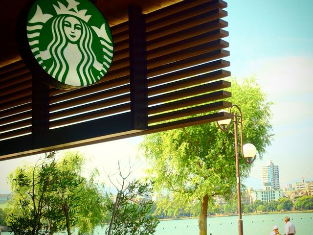 どの席からも大濠公園の水と緑が感じられる店内設計。とはいえ明るすぎない落ち着いた雰囲気です!_スターバックスコーヒー 福岡大濠公園店