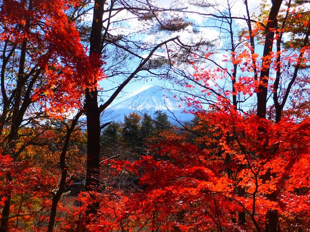 紅葉台ドライブイン