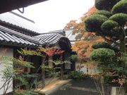 井のママさんの旧矢掛本陣石井家住宅の投稿写真1