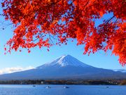 ニコちゃんさんの大石公園の投稿写真1