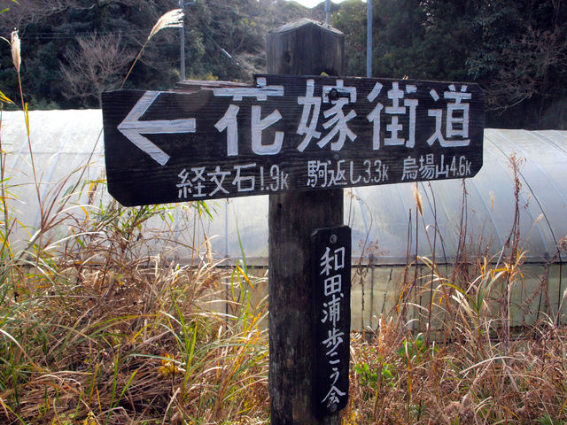 看板があります_花嫁街道