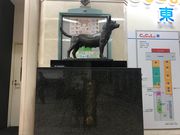 topologyさんの忠犬タマ公像の投稿写真1