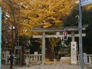 菊ちゃんさんの富士築山の投稿写真1