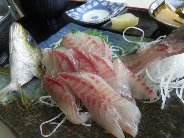釣りイサギの活け作りです!_フィッシュテラス はし長