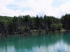 青い池の写真2