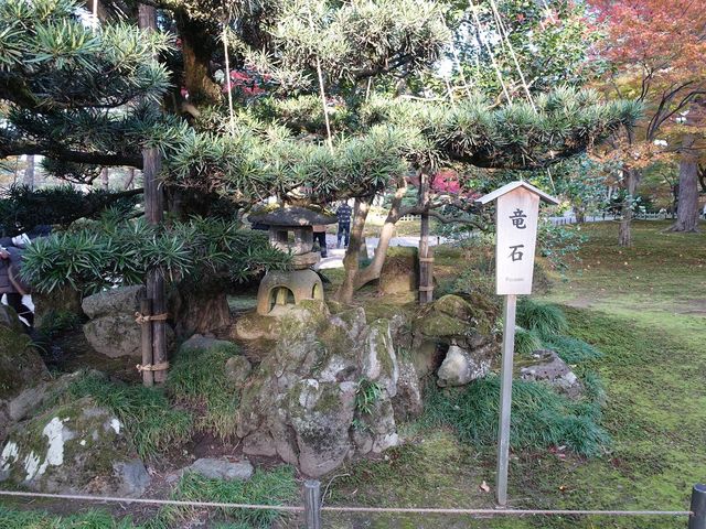 分かりにくい場所です_龍石(兼六園)
