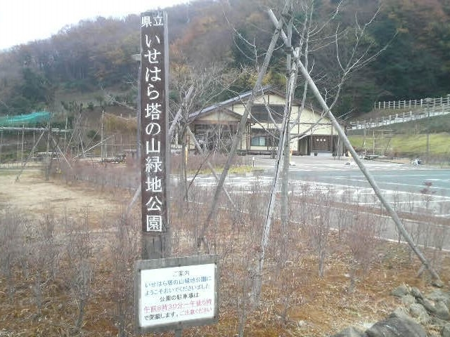 伊勢原塔の山緑地公園にやってきました_いせはら塔の山緑地公園