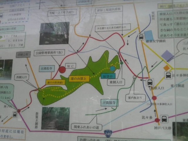 伊勢原塔の山緑地公園のマップ_いせはら塔の山緑地公園