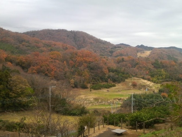 伊勢原塔の山緑地公園からの景色_いせはら塔の山緑地公園