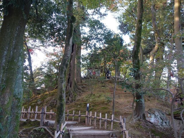 霞ヶ池を見下ろす小山_榮螺山(兼六園)