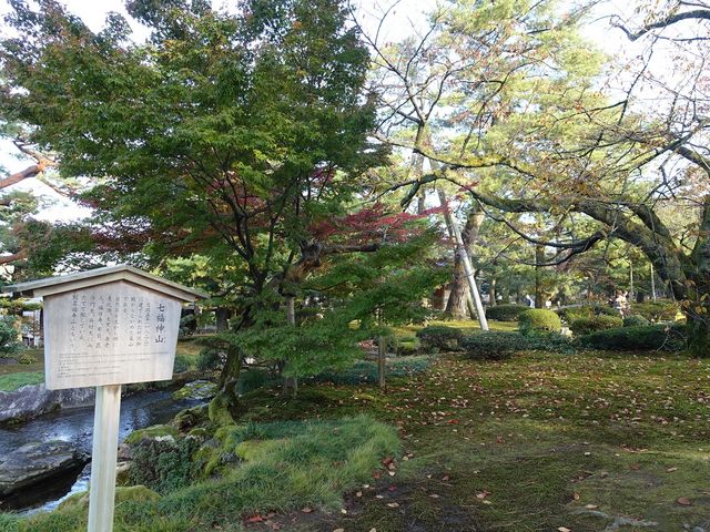 小高く盛り上がった場所という印象です_七福神山(兼六園)