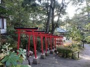 トロムソさんの金城霊澤の投稿写真1