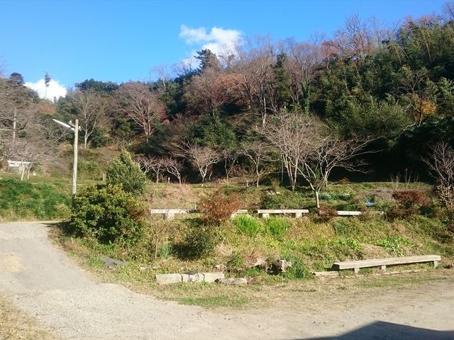 キャンプ場全景_カフェ&ギャラリーダム