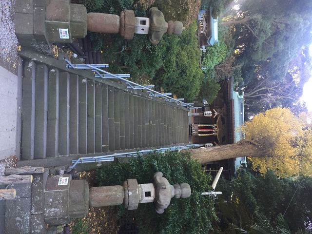 階段を登ります_走水神社