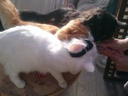 mon-tさんのカフェ&ギャラリーダムの投稿写真3