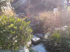 くまらさんの外谷汐入庭園への投稿写真1