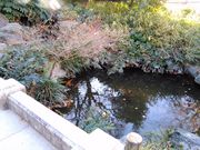 くまらさんの外谷汐入庭園の投稿写真3