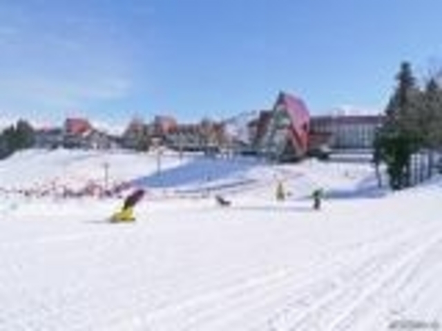 美しい_上越国際スキー場