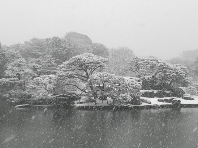 【六義園 中の島】木々にまとわりつく雪がレース模様のようです。_六義園 中の島