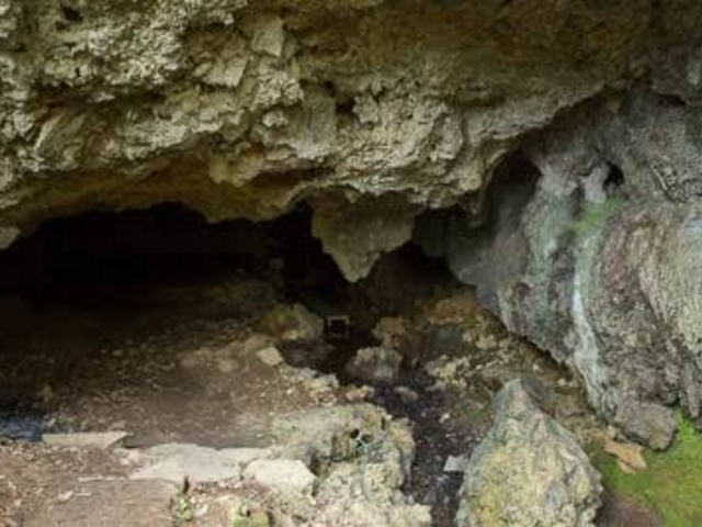 神がかってました_CAVE OKINAWA