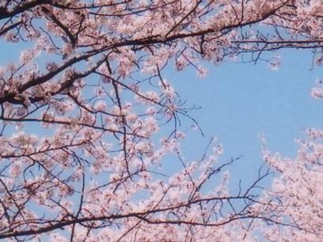 金立公園薬用植物園_金立公園薬用植物園