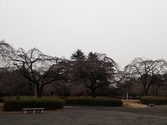 榴岡公園の写真1